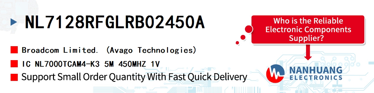 NL7128RFGLRB02450A AVAGO IC NL7000TCAM4-K3 5M 450MHZ 1V
